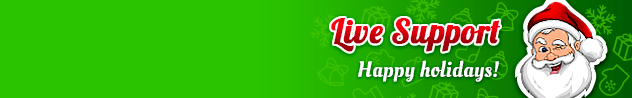  Online live chat messenger header #6 for winter - English